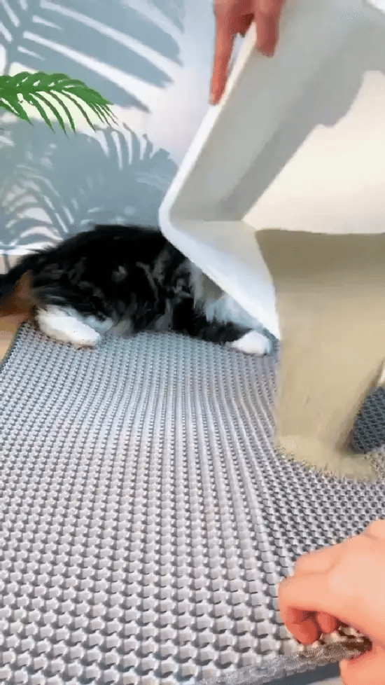 LitterLock · Double-Layer Honeycomb Mat